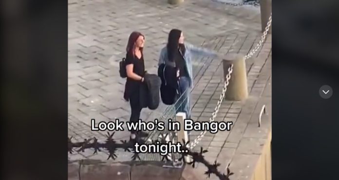 85a578ca-d03a-4d0e-816e-4c5b64fae370