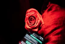 ‘Near Wrecked My Life’ – NI Man Warns Others After Losing £200K in Romance Scam