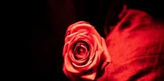 ‘Near Wrecked My Life’ – NI Man Warns Others After Losing £200K in Romance Scam